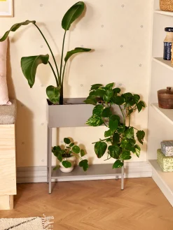 Søstrene Grene Vaser Og Potter^Planteopsats