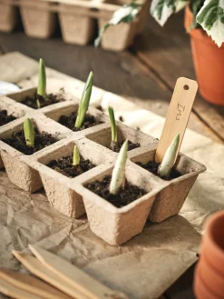 Søstrene Grene Have^Plantepinde
