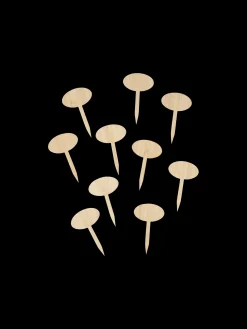 Søstrene Grene Vaser Og Potter|Have^Plantepinde