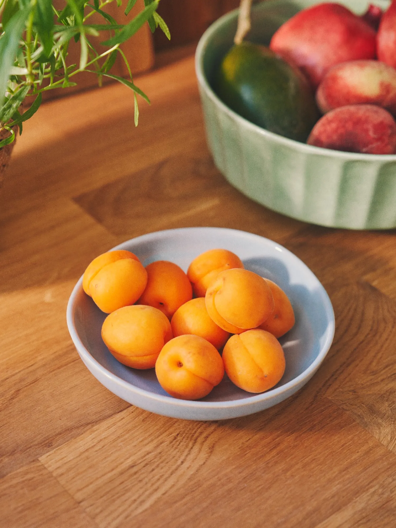 Søstrene Grene Service^Skål