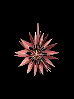 Søstrene Grene Julepynt|Dekoration^Stjerne Til Ophæng Ø10 Cm