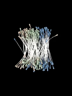 Søstrene Grene Dekoration^Støvdragere