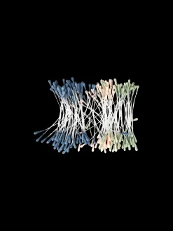 Søstrene Grene Dekoration^Støvdragere