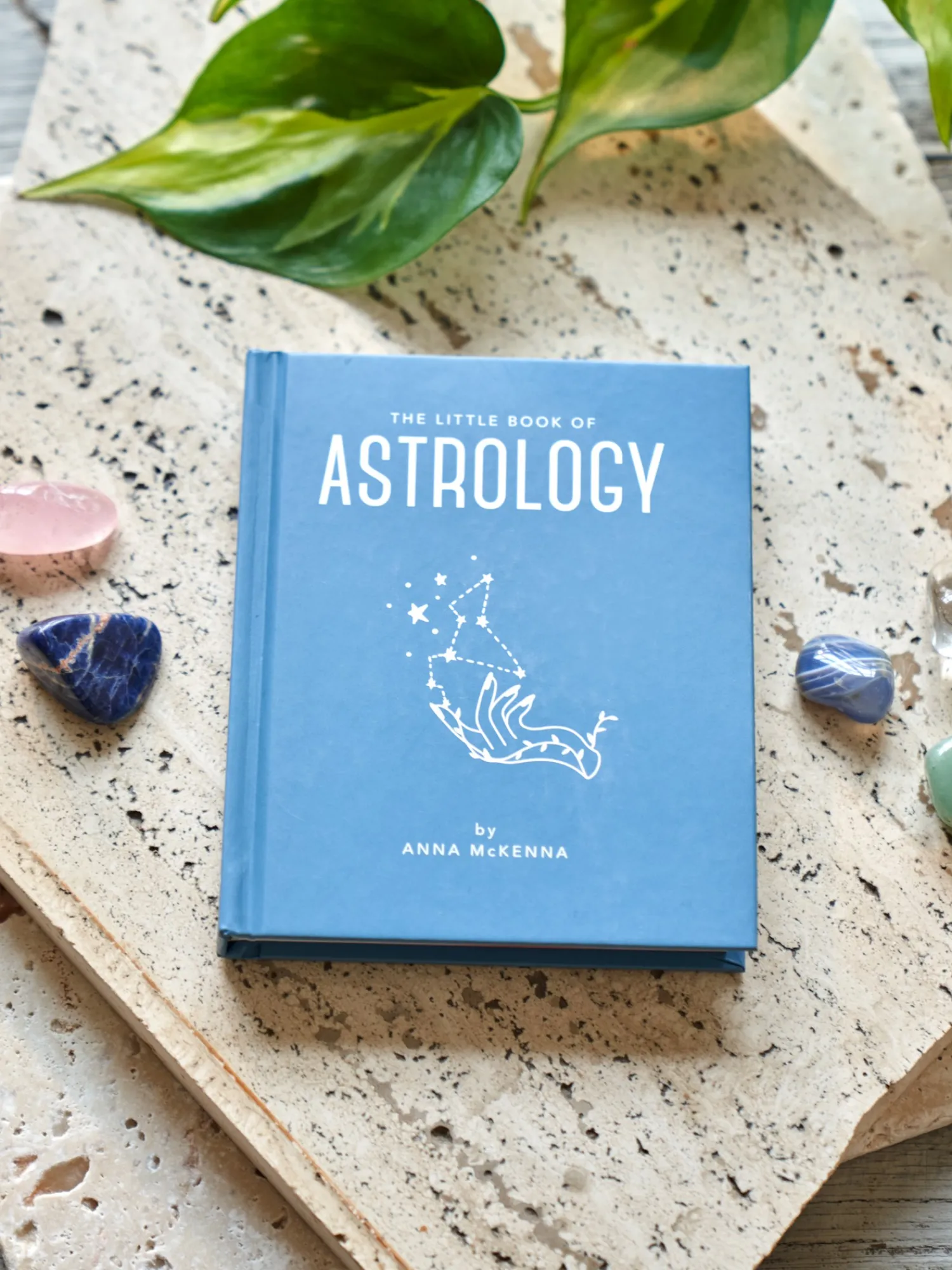 Søstrene Grene Coffee Table Books^The Little Book Of Astrology