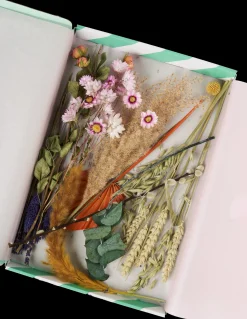 Søstrene Grene Dekoration^Tørrede Blomster BloomPost Pastel