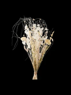 Søstrene Grene Dekoration^Tørrede Blomster Patricia Medium