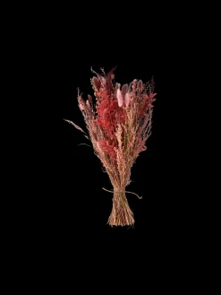 Søstrene Grene Dekoration^Tørrede Blomster Pudder Lille