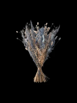 Søstrene Grene Dekoration^Tørrede Blomster Silver Medium