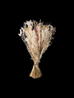 Søstrene Grene Dekoration^Tørrede Blomster White Medium