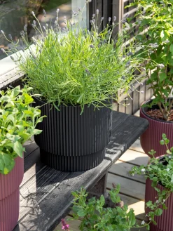 Søstrene Grene Vaser Og Potter^Urtepotte Milly Ø29,8 Cm