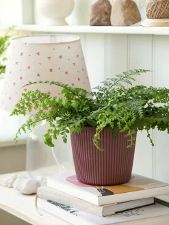 Søstrene Grene Vaser Og Potter^Urtepotte Milly Ø16,9 Cm