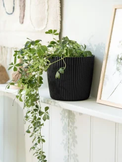 Søstrene Grene Vaser Og Potter^Urtepotte Milly Ø16,9 Cm