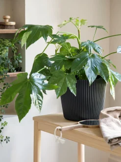 Søstrene Grene Vaser Og Potter^Urtepotte Milly Ø23,6 Cm