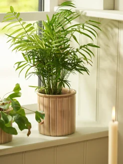 Søstrene Grene Vaser Og Potter^Urtepotteskjuler