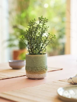 Søstrene Grene Vaser Og Potter^Urtepotteskjuler